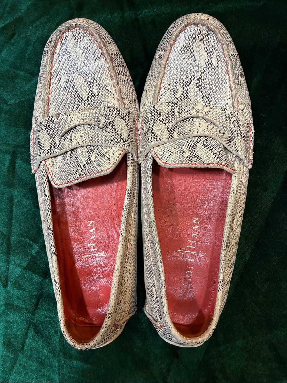 Cole Haan Women's Snake-Print Leather Loafers in Silver Orange Stitching Size 6